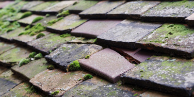 Burrough Green roof repair costs